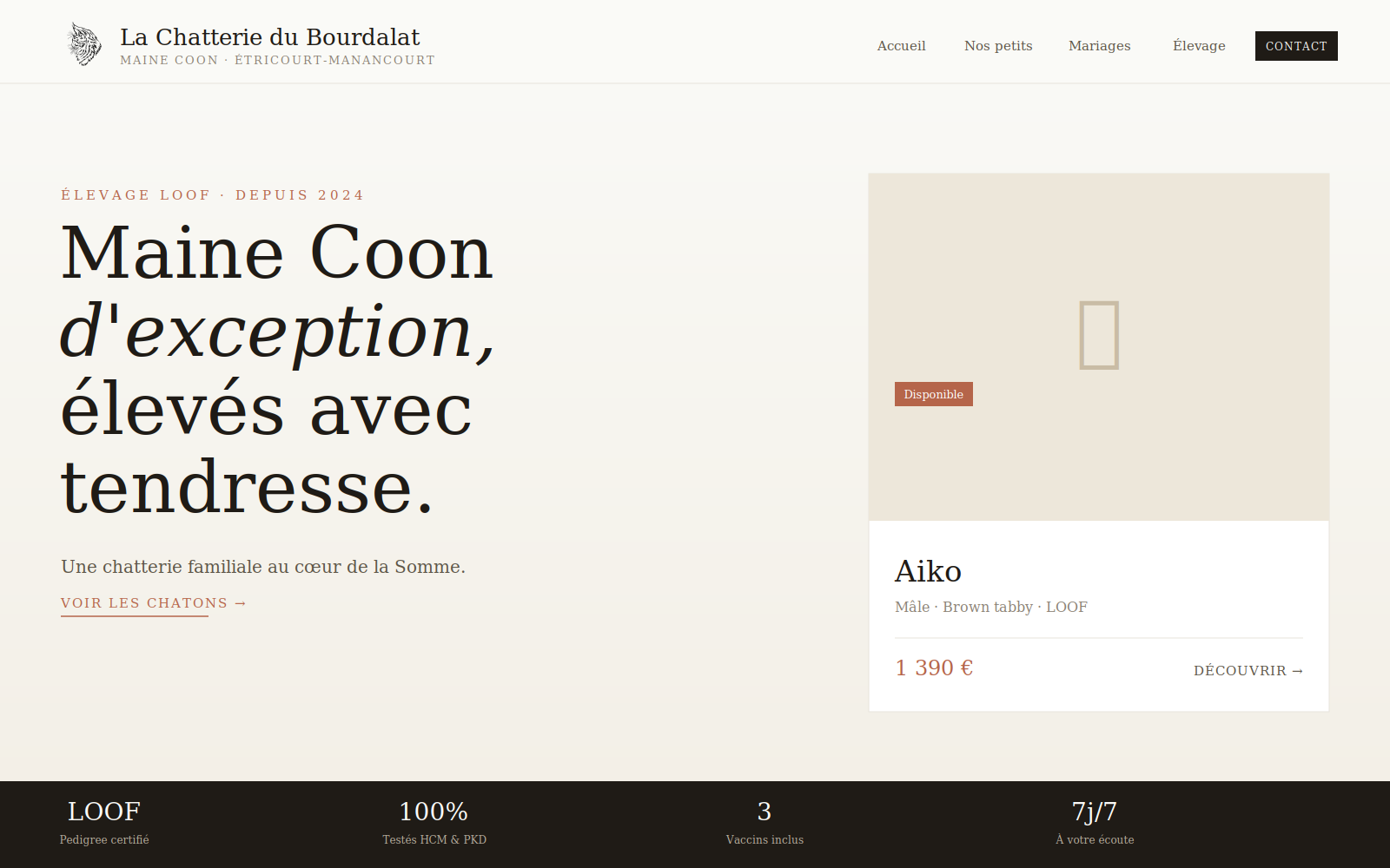 Capture d'écran du site de La Chatterie du Bourdalat, élevage de Maine Coon, réalisé par InnovaTech Développement